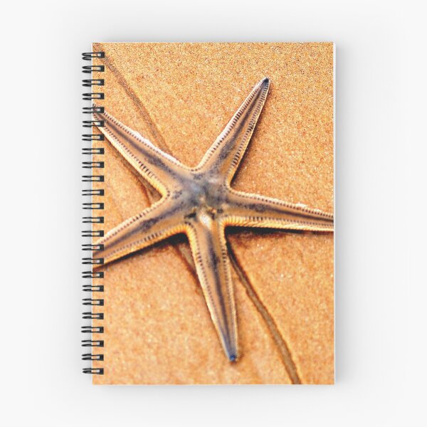 Item preview, "PERFECT CREATION" - starfish in mozmbique designed and sold by Magriet Meintjes.