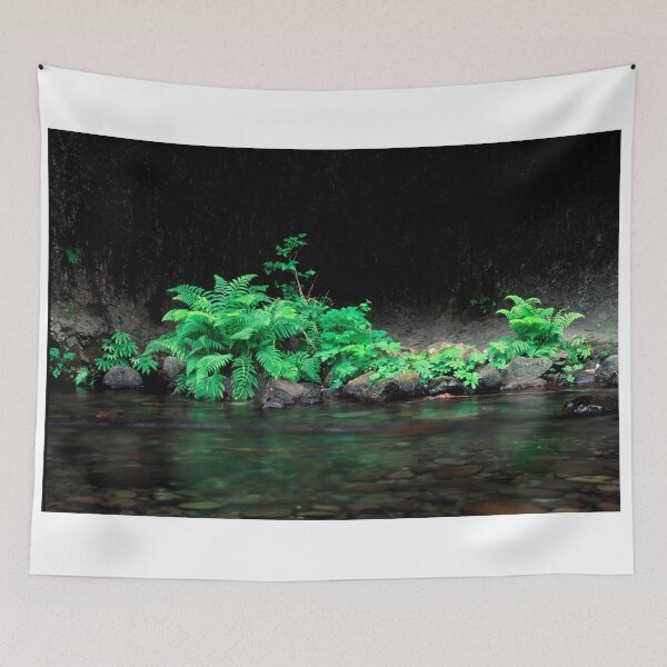 Item preview, Ferns designed and sold by jklune.