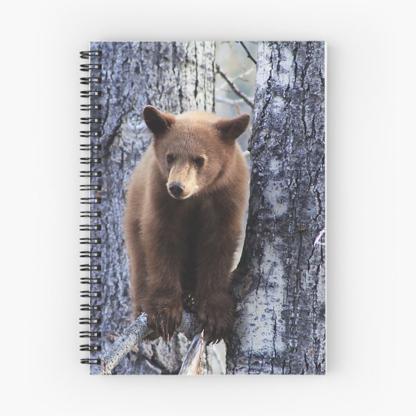 Item preview, Bear Cub designed and sold by Alyce Taylor.