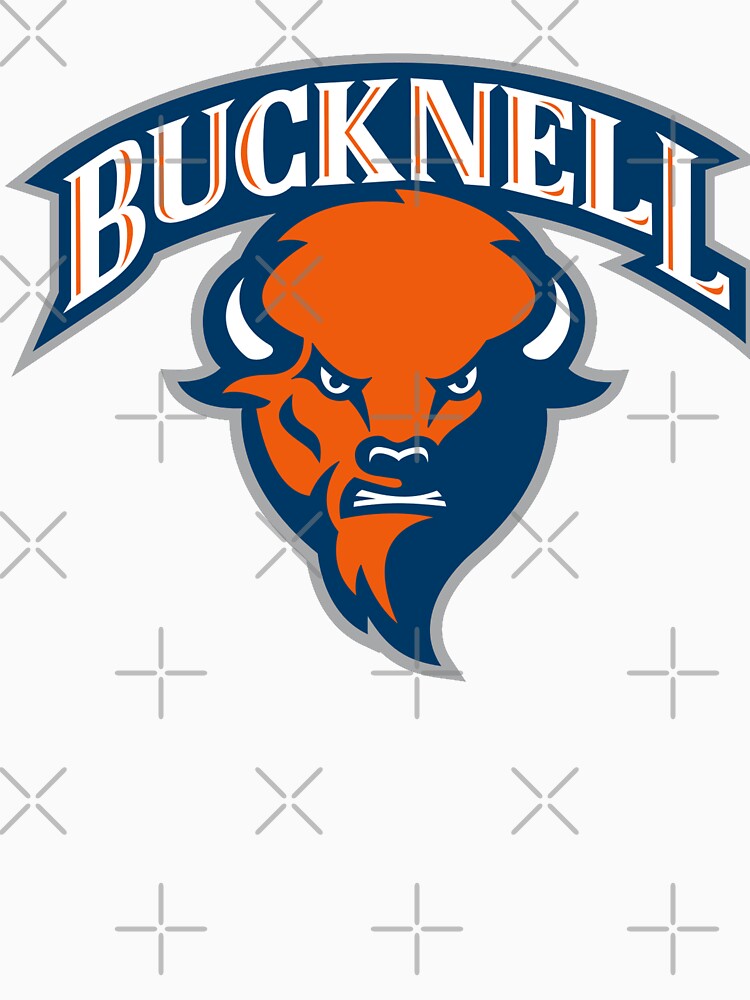 Bucknell Bison Lewisburg Pa Bucknell University Kids Pullover Hoodie | Redbubble