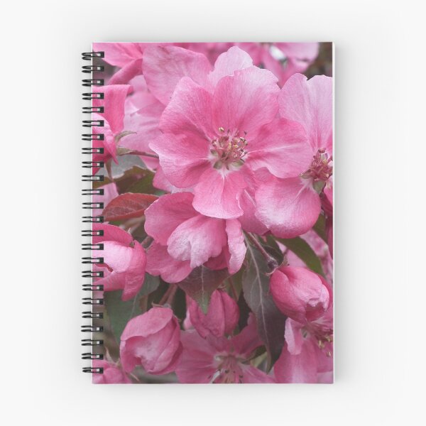 Item preview, Blossoms designed and sold by marchello.