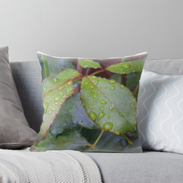 Item preview, Raindrops designed and sold by ColinBoylett.