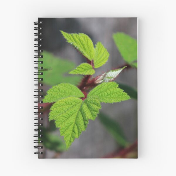 Item preview, Leaves of Three designed and sold by Gilda Axelrod.