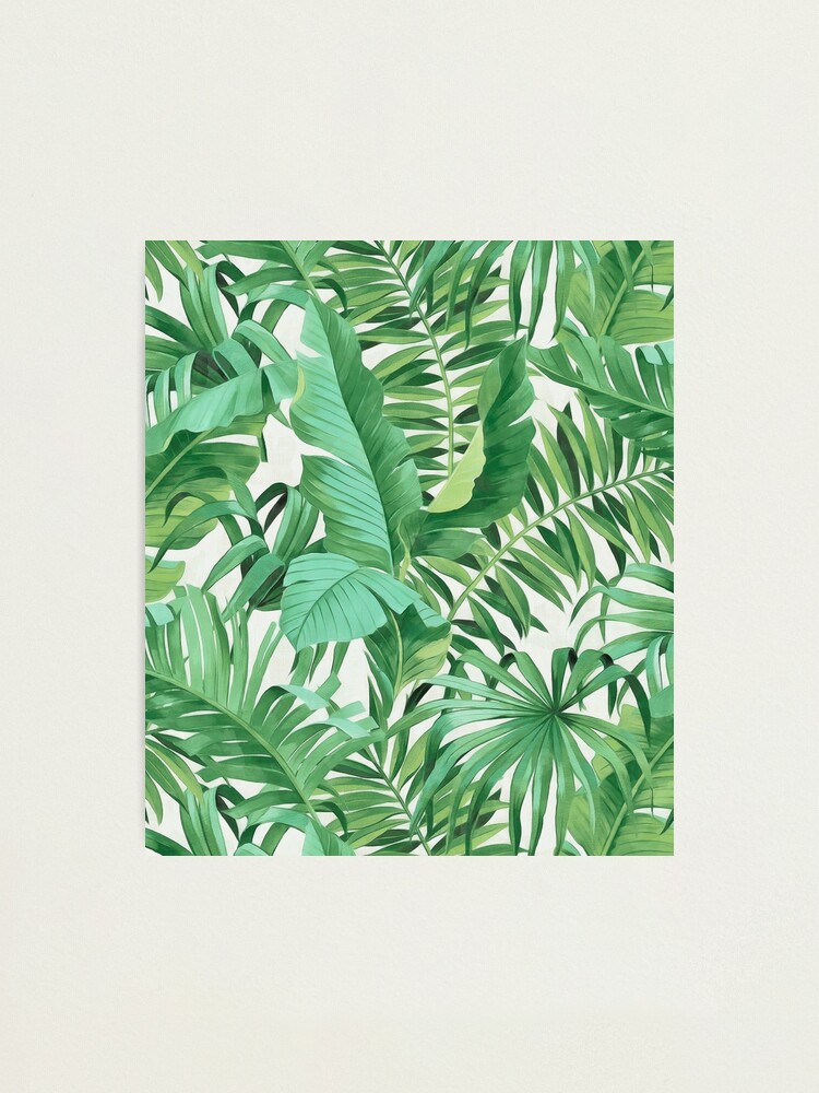 Alternate view of Green tropical leaves II Photographic Print