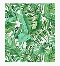 Green tropical leaves II Photographic Print