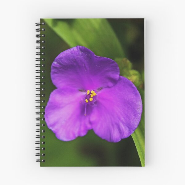 Item preview, Violet, Yellow and Green designed and sold by Gilda Axelrod.
