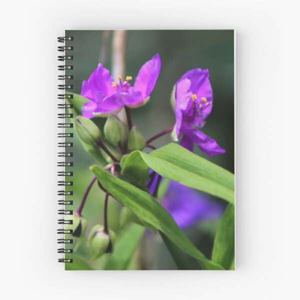 Item preview, Fuchsia Flowers designed and sold by Gilda Axelrod.