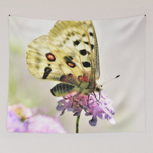 Item preview, Apollo Butterfly and Nature and Wildlife Original photographic design designed and sold by VIDDAtees.
