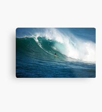 Waimea Bay Hawaii Metal Print