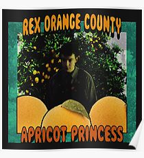 rex orange county apricot princess merch