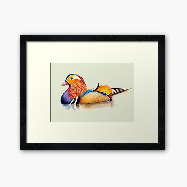 Mandarin Duck Watercolor Hand-Painted Artwork Framed Art Print