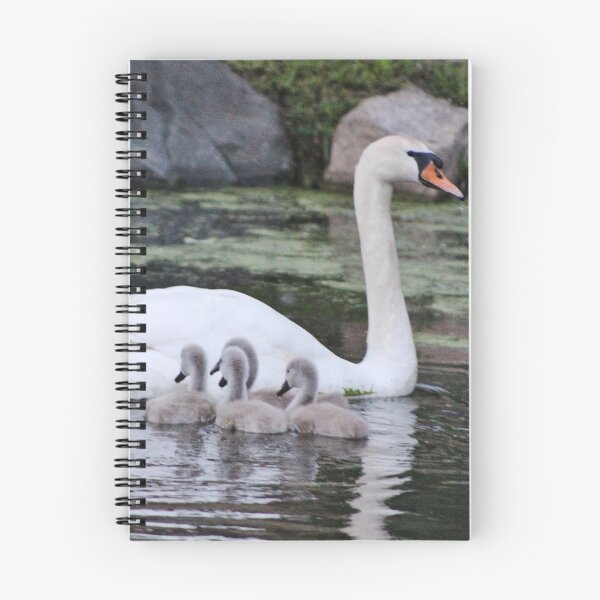 Item preview, Mute Swan and her Cygnets designed and sold by Gilda Axelrod.