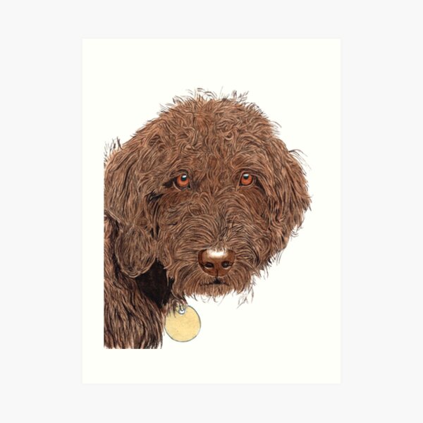 Labradoodle Art Prints Redbubble