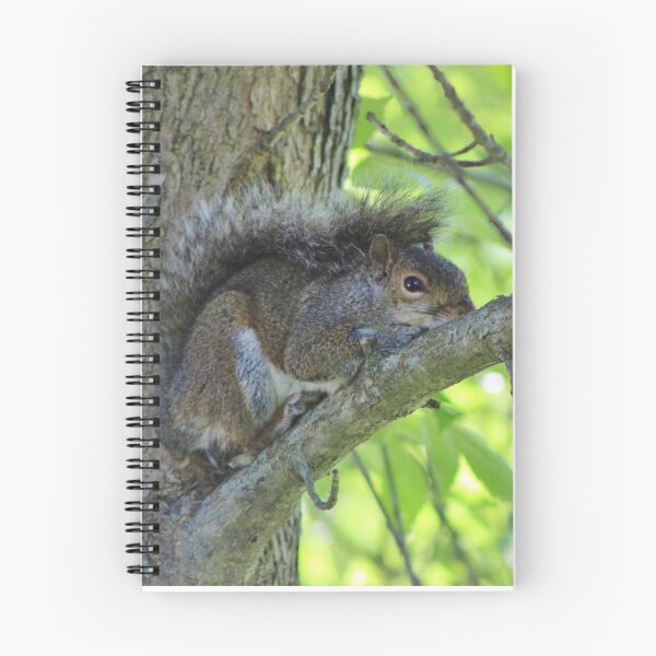 Item preview, Hiding in Plain Sight designed and sold by Gilda Axelrod.