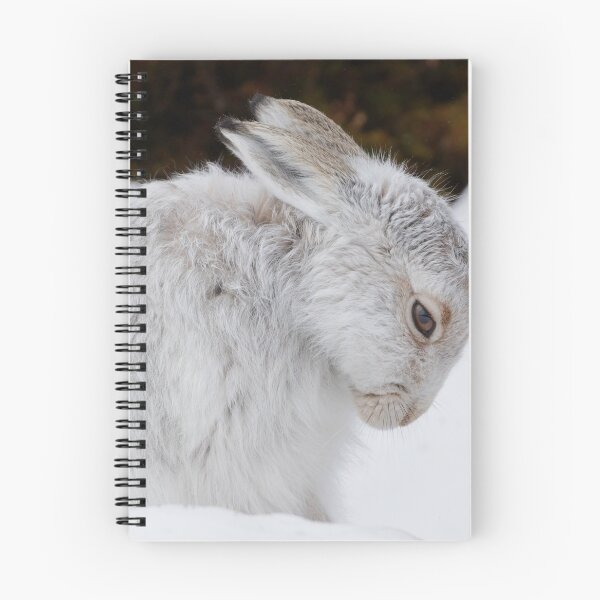 Item preview, Cute white mountain hare rabbit designed and sold by chanonry.