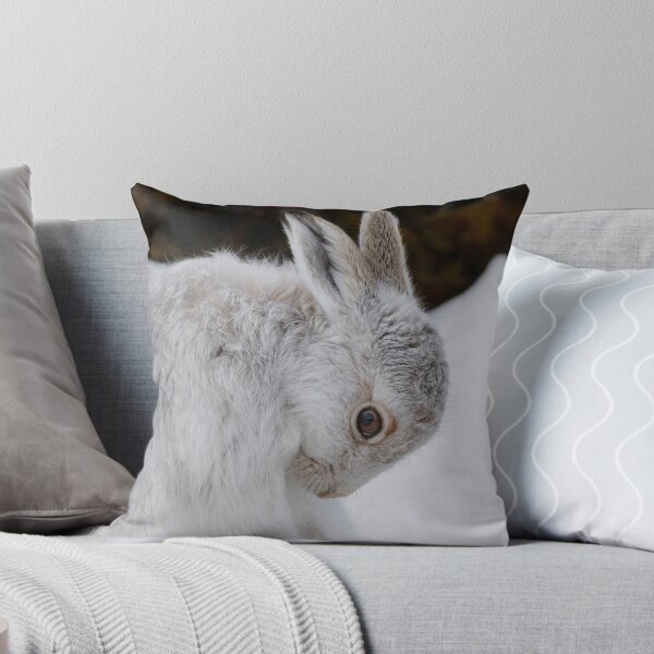 Item preview, Cute white mountain hare rabbit designed and sold by chanonry.