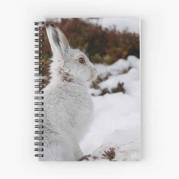 Item preview, Cute white mountain hare rabbit designed and sold by chanonry.