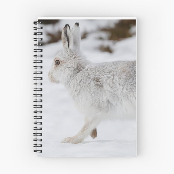 Item preview, Cute white mountain hare rabbit designed and sold by chanonry.