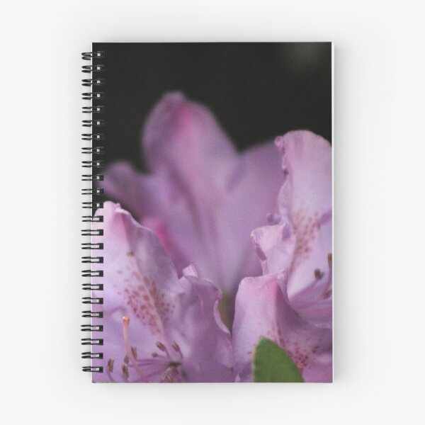 Item preview, Nightfall Awaits designed and sold by Gilda Axelrod.