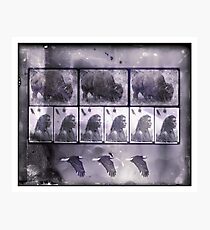 Extinction of the Americas Photographic Print
