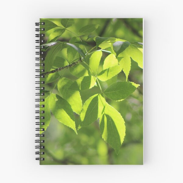 Item preview, Light Playing in the Leaves designed and sold by Gilda Axelrod.