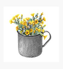 Lámina fotográfica Taza con primulas