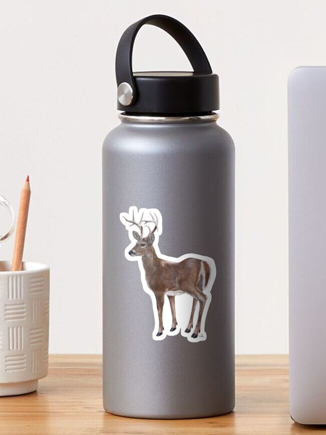 Thumbnail 1 of 3, Sticker, White Tail Deer Buck designed and sold by oz10.