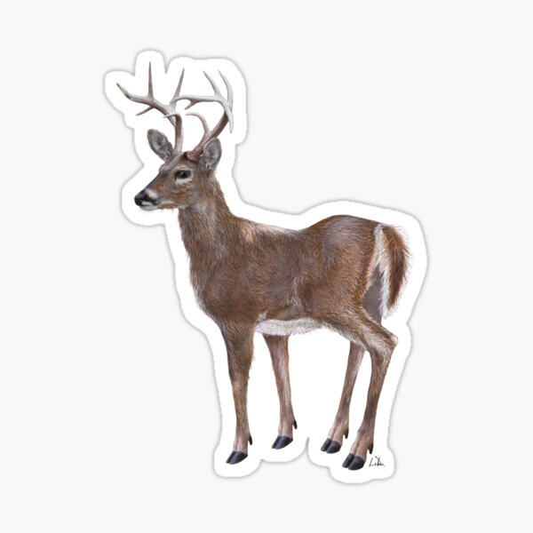 Deer Buck Head Hunting Vinyl Sticker Decal for Yeti Mug Cup