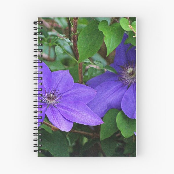 Item preview, Clematis designed and sold by Gilda Axelrod.