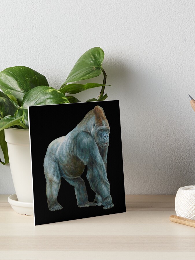Gorilla Blackback Or Silverback On Black Art Board Print By Tomsredbubble Redbubble
