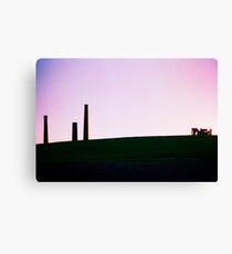 Sydney Park St Peters #2 Canvas Print