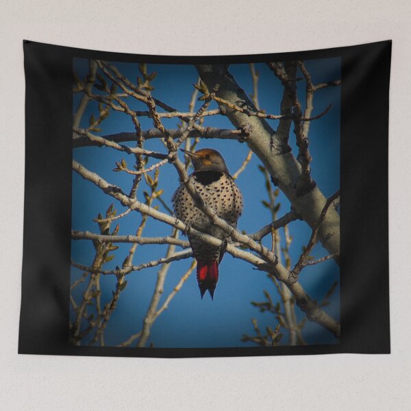 Item preview, Northern Flicker designed and sold by Len Bomba.