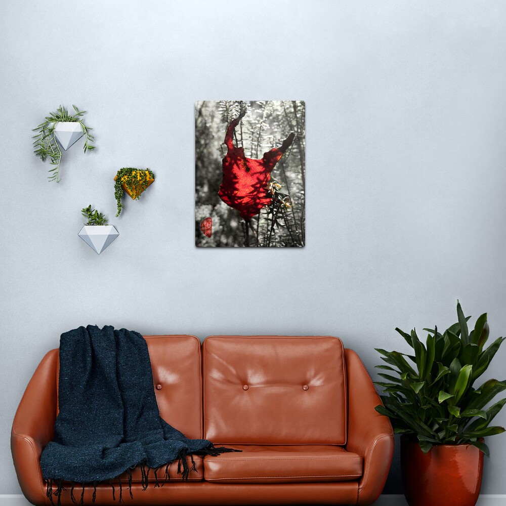 Chewed Metal Print