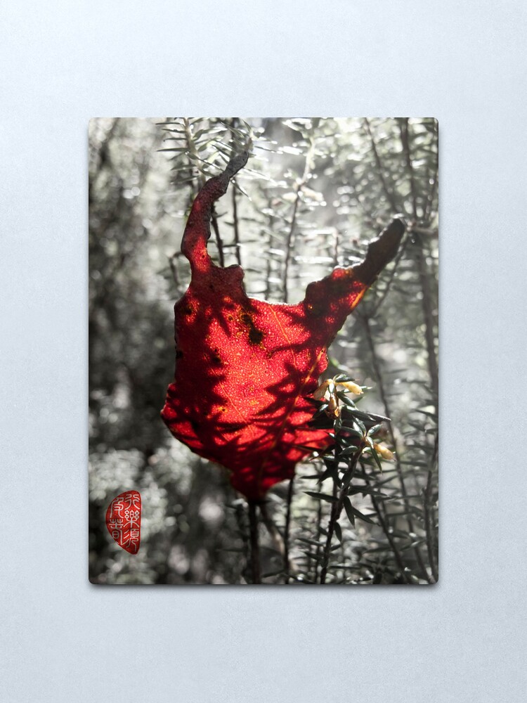 Alternate view of Chewed Metal Print