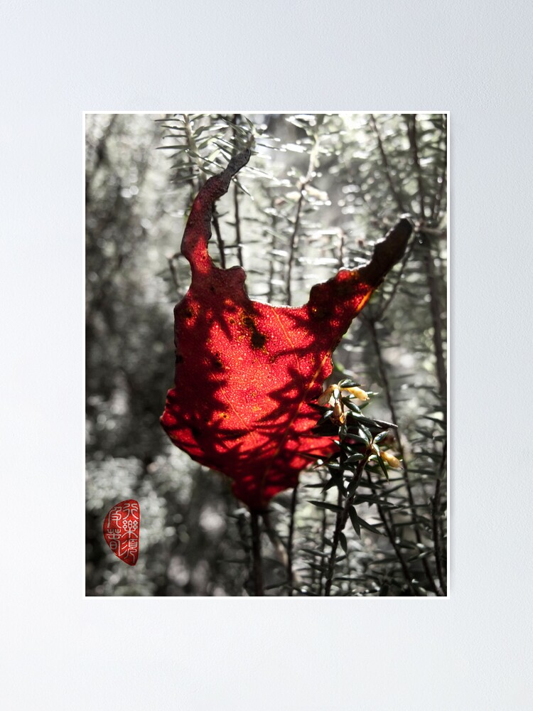 Alternate view of Chewed Poster
