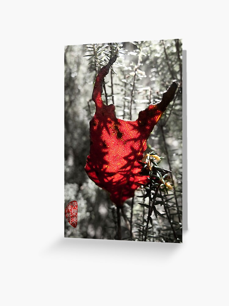 Thumbnail 1 of 2, Greeting Card, Chewed designed and sold by Ron C. Moss.