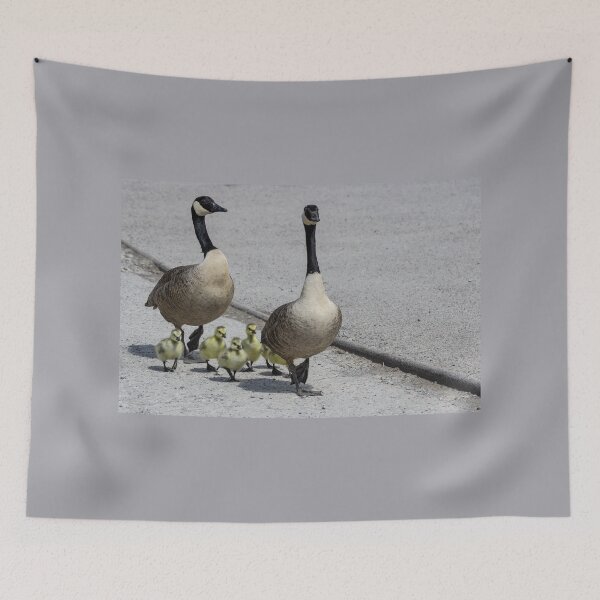 Item preview, Geese family out for a walk designed and sold by iCimages.net.