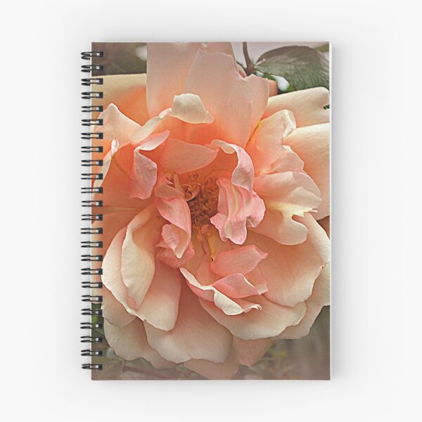 Aperçu de l'œuvre Dusky Rose créée et vendue par naturelover.