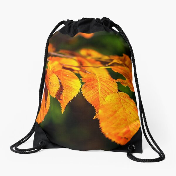 Autumn Leaves 2 Drawstring Bag