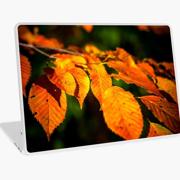 Autumn Leaves 2 Laptop Skin