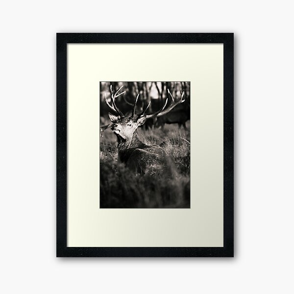 Before the Storm Framed Art Print
