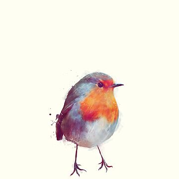 Artwork thumbnail, Winter Robin by AmyHamilton