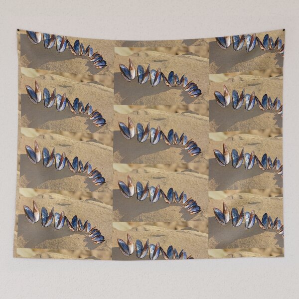 Item preview, Mussel Shell Line Up designed and sold by CarolM.