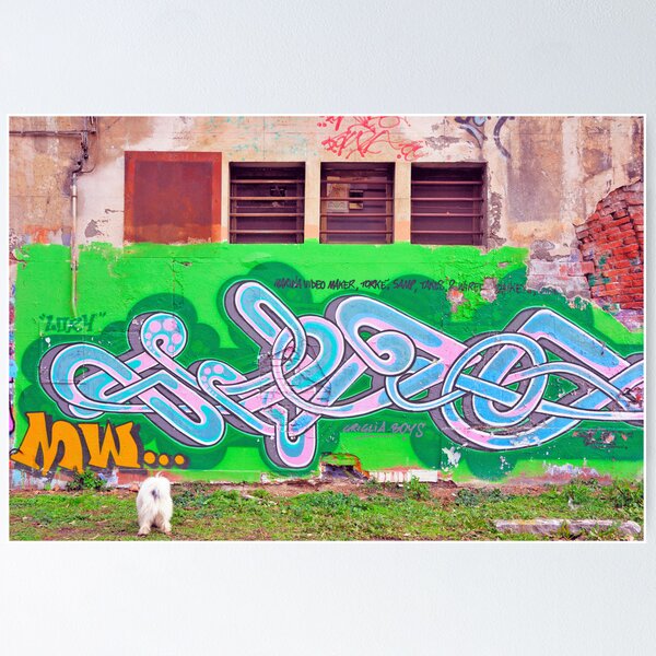 Aperçu de l'œuvre Colorful graffiti créée et vendue par lollored.