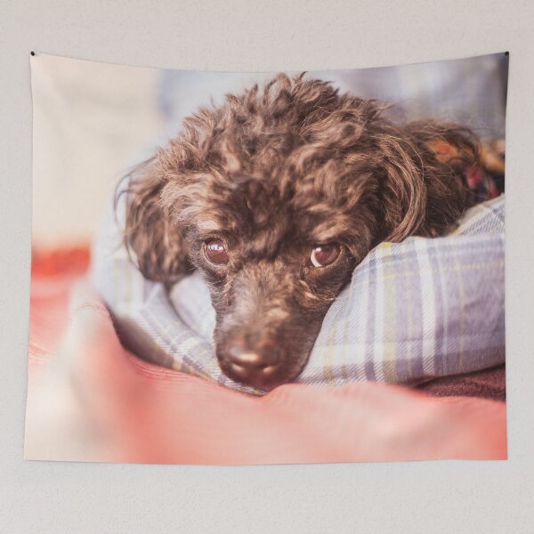 Item preview, Wide-eyed designed and sold by KensLensDesigns.