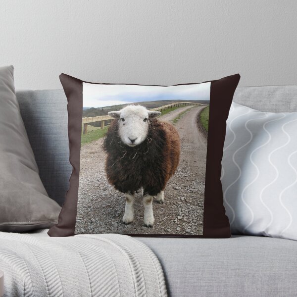 Middlesmoor Herdwick Throw Pillow