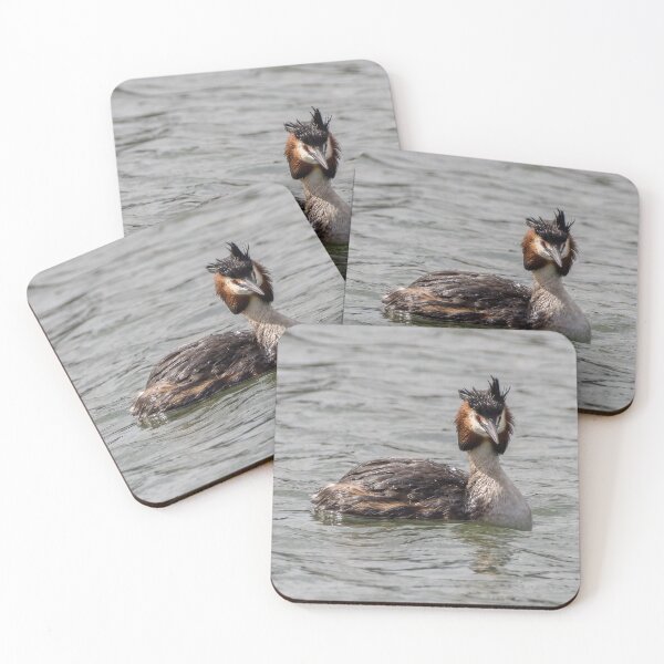 Item preview, A Great Crested Grebe designed and sold by iCimages.net.