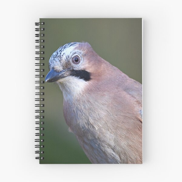 Item preview, Jay designed and sold by Paul Crabtree.