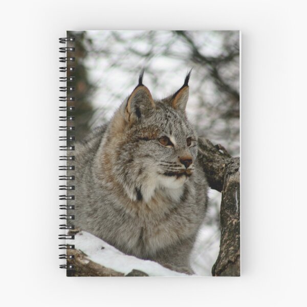 Item preview, Lince canadiense designed and sold by Larry Trupp.