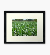 Healthy Framed Print